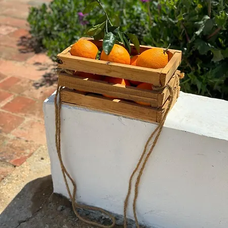 Сasa de vacaciones Casa Mimosa - Algarve *