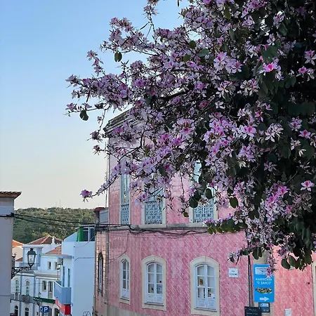 Casa Mimosa - Algarve 펜션