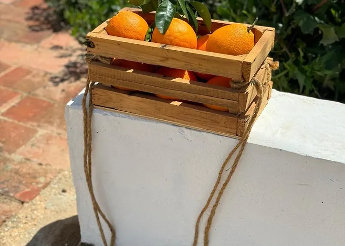 בית נופש Casa Mimosa - Algarve *