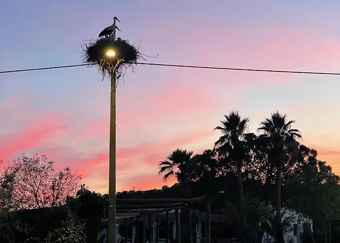 Casa Mimosa - Algarve 波尔蒂芒