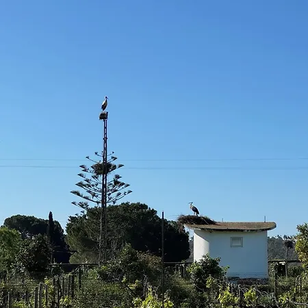 Casa Mimosa - Algarve بيت للعطل بورتيماو