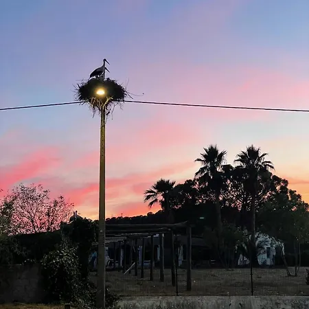 Casa Mimosa - Algarve بورتيماو