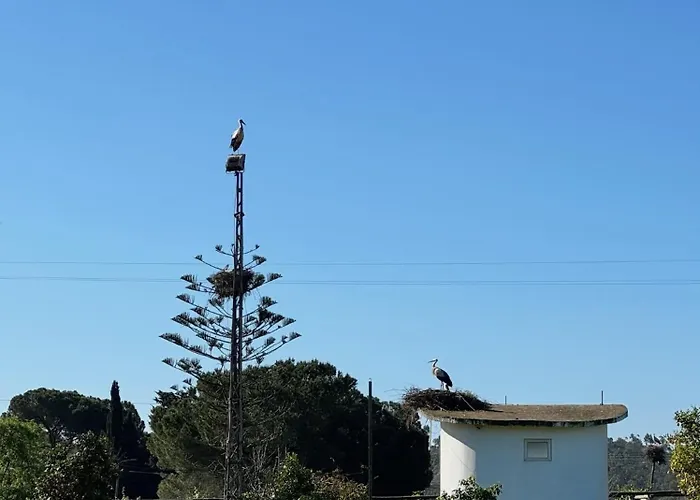 Casa Mimosa - Algarve Semesterbostad Portimão