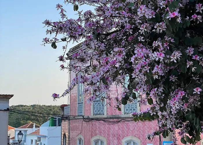 Casa Mimosa - Algarve Semesterbostad